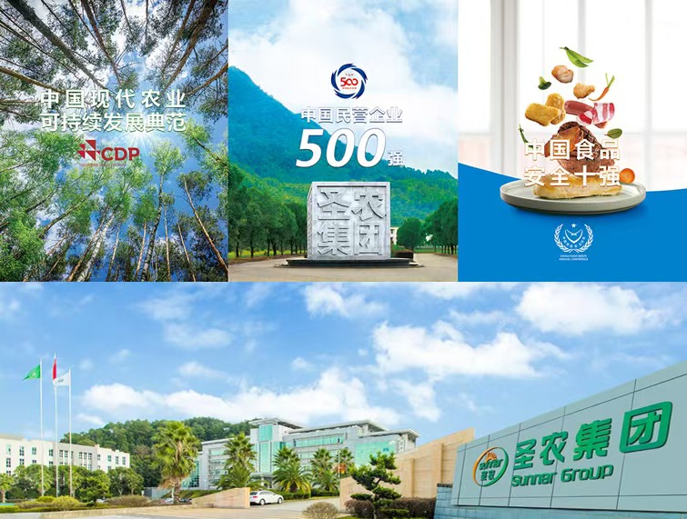 圣泽903通过现场核验 中国白羽肉鸡自主育种迈向新阶段