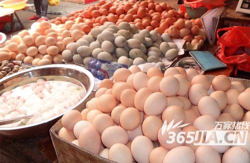 半年间合肥100元少买30个鸡蛋 零售价每斤上涨2毛钱