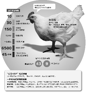 山坳中的圣农发展肉鸡养殖场