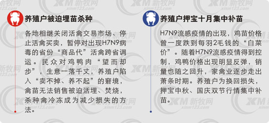 养殖户被迫埋苗杀种