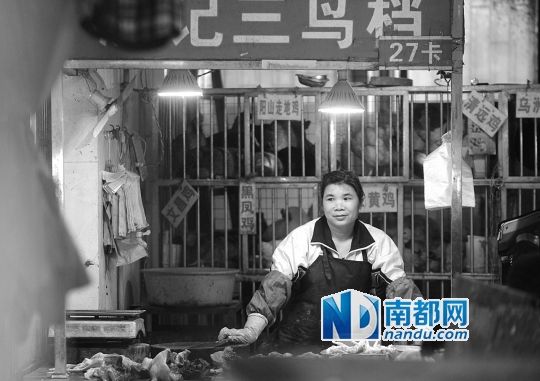 在安山市场，三鸟档主等候顾客前来光顾。 南都记者 吴进 摄