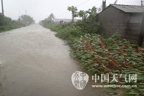 超强台风横扫雷州 他们无力抵抗却坚强
