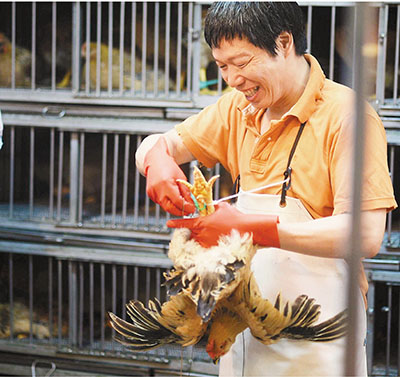 香港菜市场恢复售卖内地活鸡鸡贩料生意增倍（图）