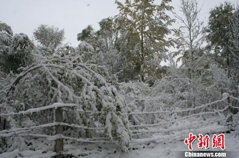 7省市霾持续 新疆多地降下初雪
