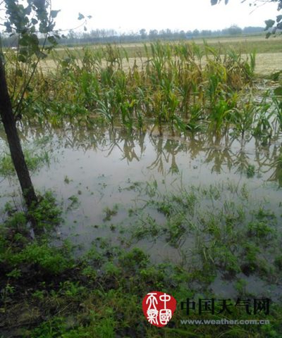 中东部降雨消减 西北气温明显偏高