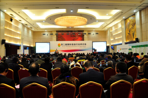 中国蛋品 下一个十年