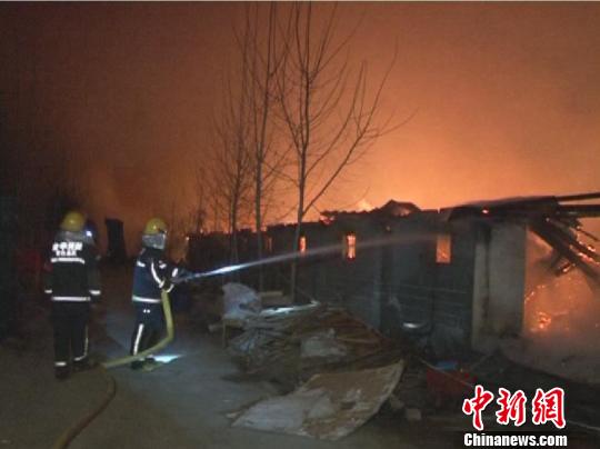 浙江金华一鹌鹑养殖场着火25万余只鹌鹑葬身火海