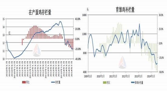 金友期货(年报)：鸡蛋15年寒冬里的一把火