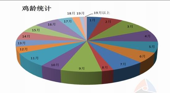 金友期货(年报)：鸡蛋15年寒冬里的一把火