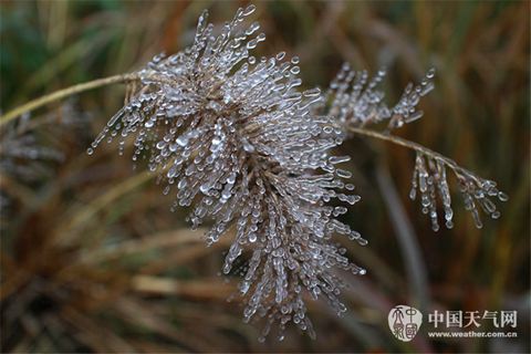 华北黄淮霾渐重 南方雪转雨湿冷持续