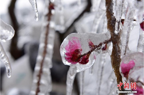 全国大部乍暖还寒 长江中下游持续阴雨雪