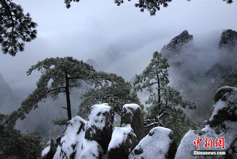 黄山风景区银装素裹（图片来源于中新网）