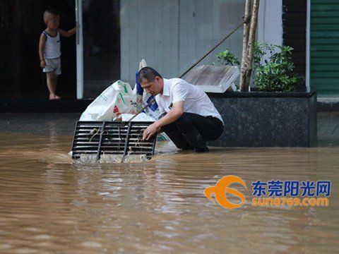 5日大暴雨再袭东莞，交通瘫痪数小时。（来源：东莞阳光网）