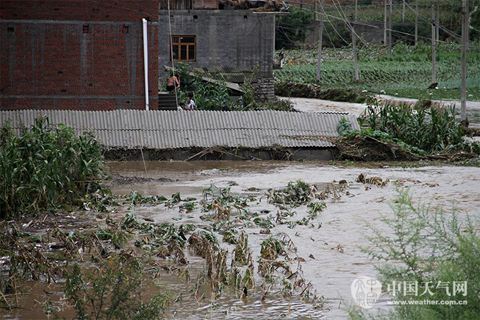 湖北安徽等迎大到暴雨 华北东北多雷阵雨