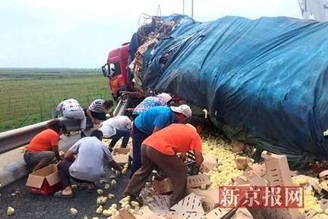 山东运禽货车高速路上倾翻数万只小鸡遭村民哄抢