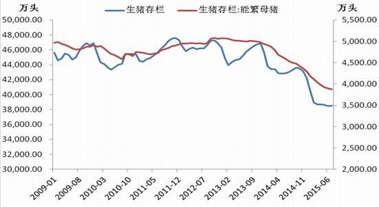 中国国际：临储退出预期下的玉米操作策略