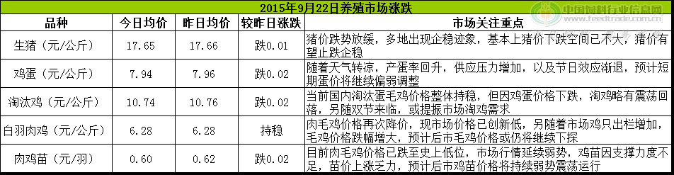 鸡评.png