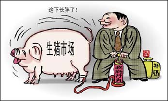 养猪补贴 