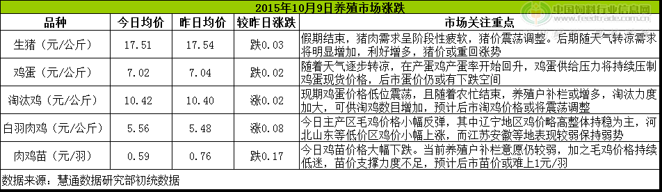 鸡评.png