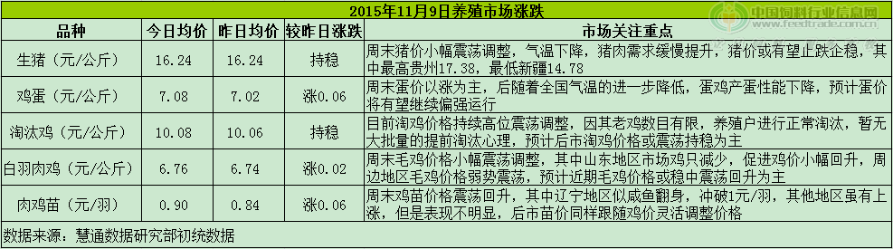 鸡评.png