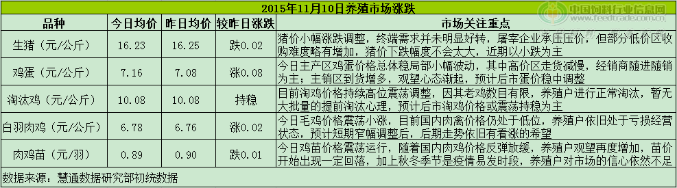 鸡评.png