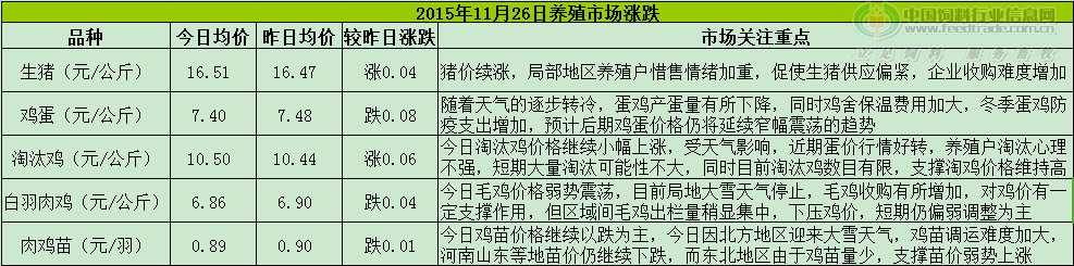 鸡评.png