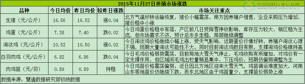 鸡评.png