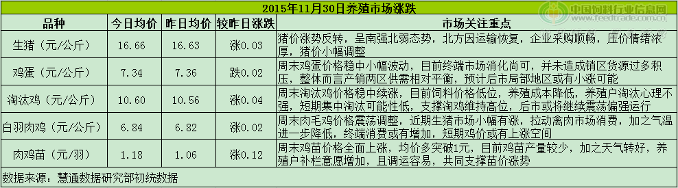 鸡评.png