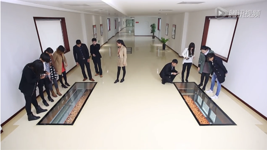 正大集团.png