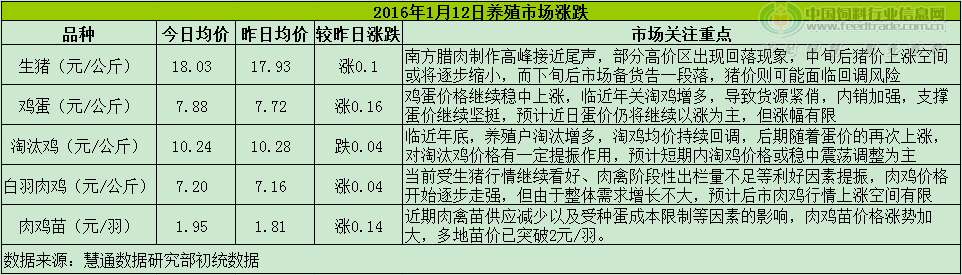 鸡评.png