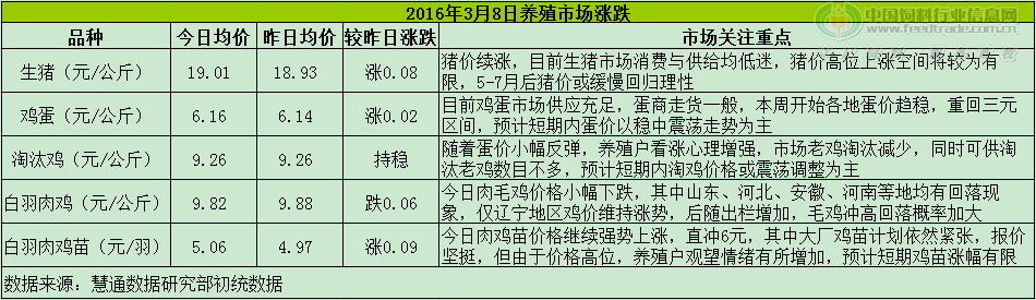 鸡评.png