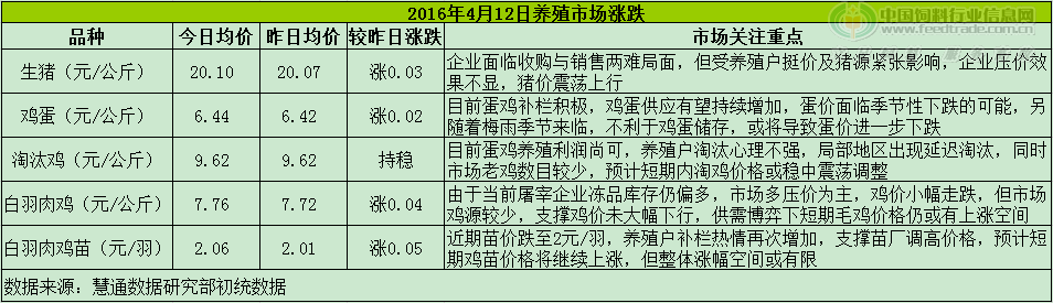 鸡评.png