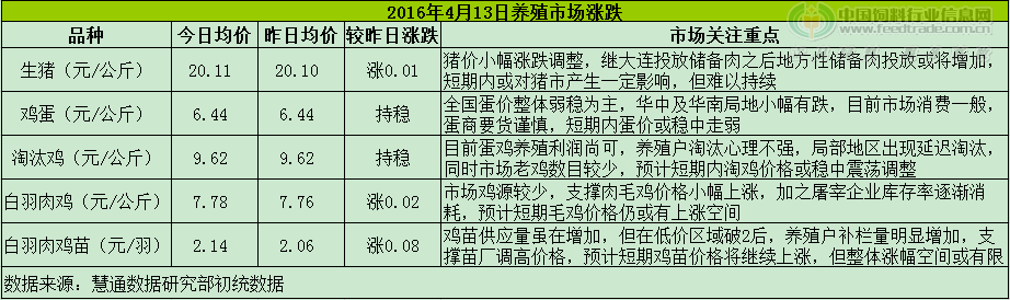 鸡评.png