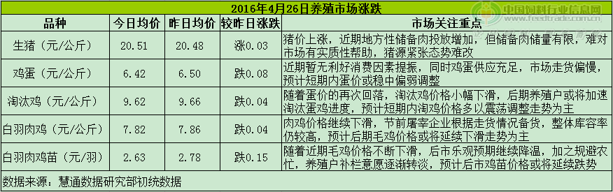 鸡评.png