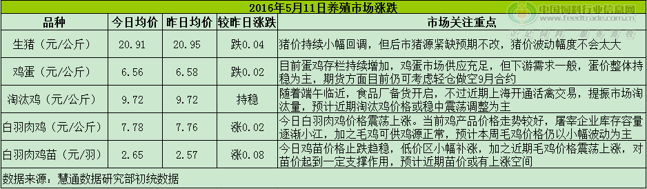 鸡评.png