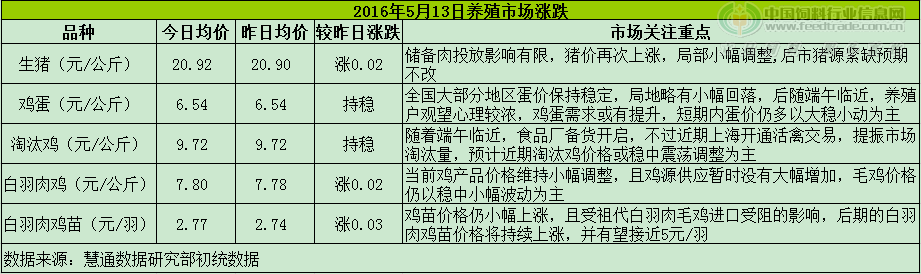 鸡评.png