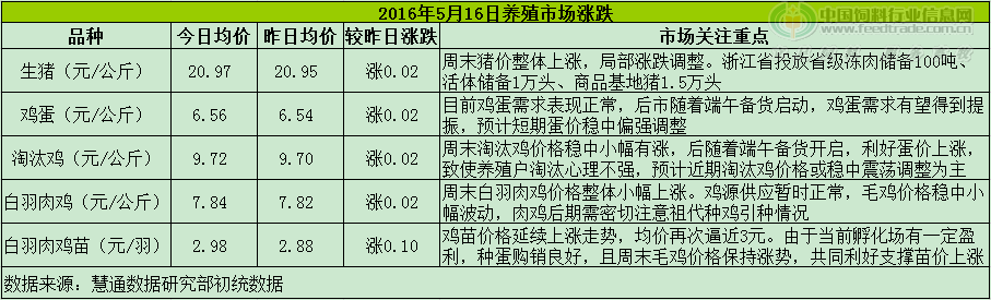 鸡评.png