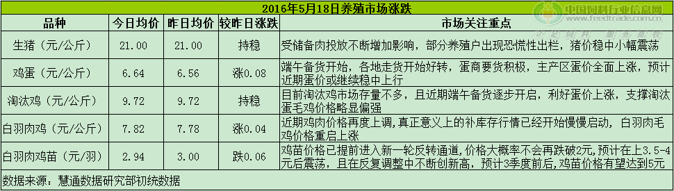 鸡评.png