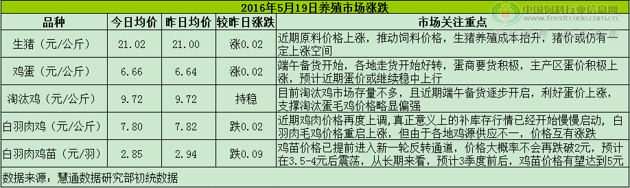 鸡评.png