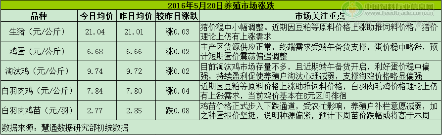 鸡评.png