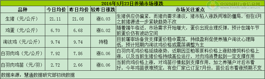 鸡评.png
