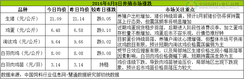 鸡评.png