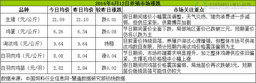 鸡评.png