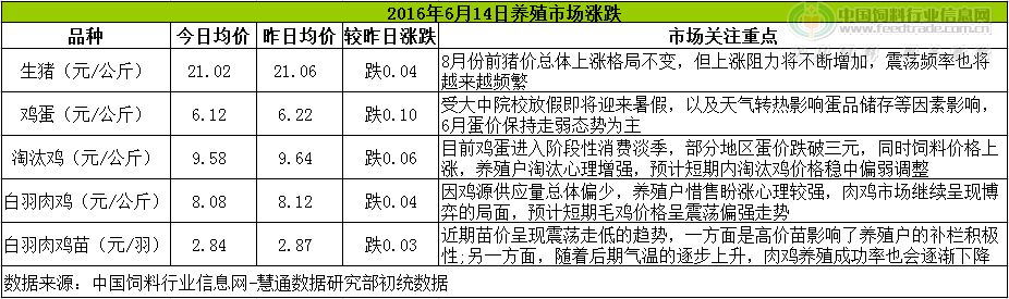 鸡评.png