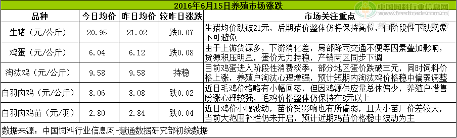 鸡评.png