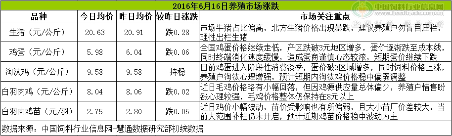 鸡评.png