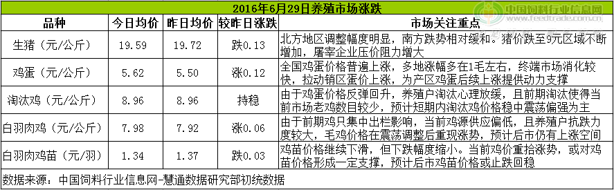 鸡评.png