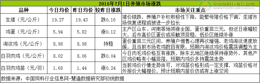 鸡评.png