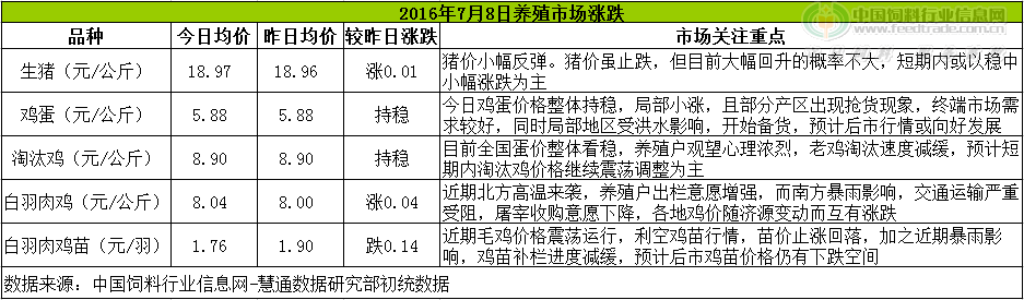 鸡评.png