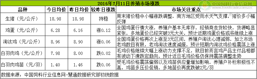 鸡评.png